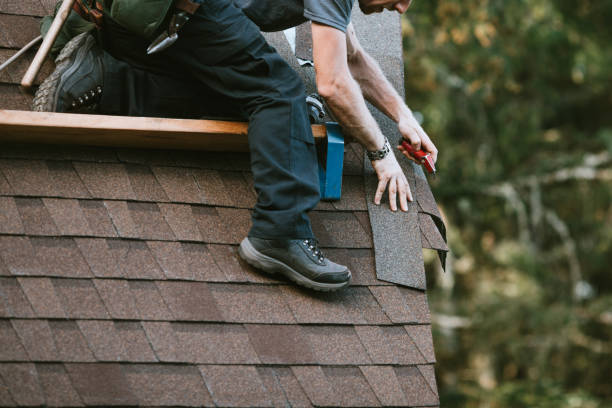 Best Roof Inspection  in Windom, MN